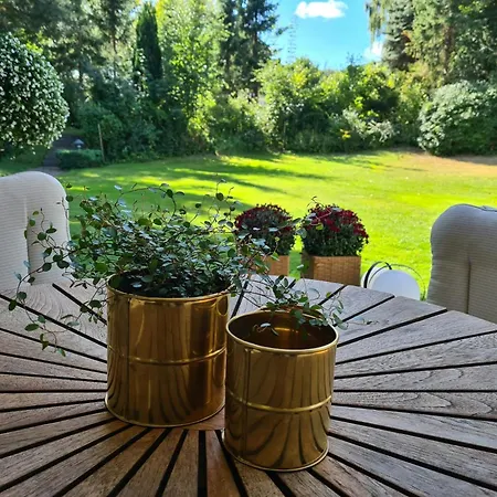 At With Two Terraces *