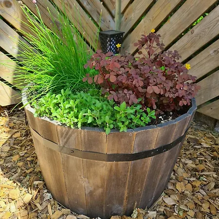 At With Two Terraces Vejby