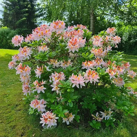 Ferienhaus At With Two Terraces Vejby